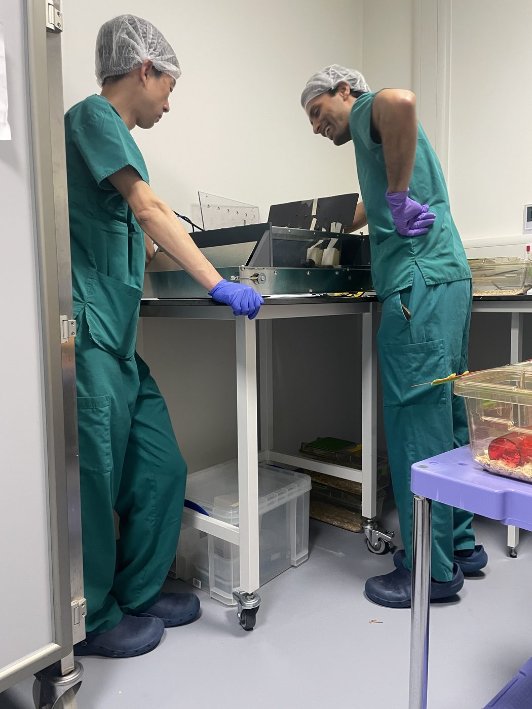 Ankur and Satoshi exercising mice on a treadmill